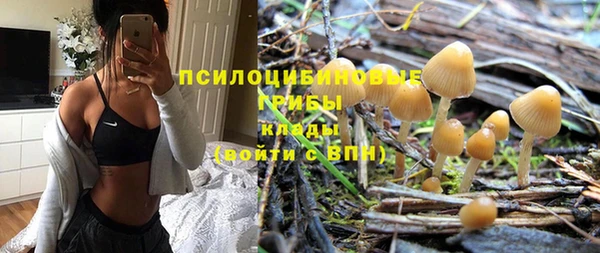 первитин Белокуриха