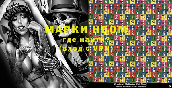 индика Балахна
