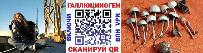 Псилоцибиновые грибы прущие грибы  где купить наркоту  Уссурийск 